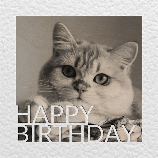 Kitten – Laser-Engraved – Happy BirthdaySquare Frame