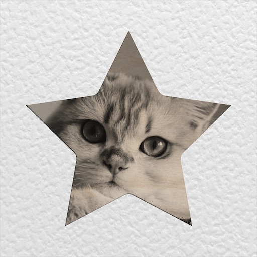 Kitten – Laser-Engraved – Star Frame
